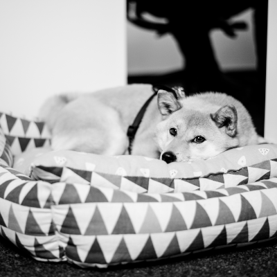 Das Bild zeigt einen Mitarbeitenden von ODION